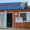 약산대물낚시