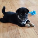 시골살이 집으로 이미지