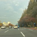 반송여자중학교 | 2026 유아임용 경남 1차 | 후기