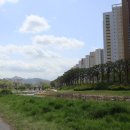 완산-19 이미지