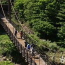 한라산둘레길안내센터 이미지