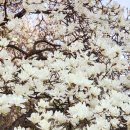 한양대(제1학술관) 이미지