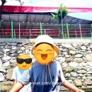 양주 장흥 계곡 맛집 ‘초가마을’ 솔직 후기! 아이와 함께 백숙 먹고 물놀이하기 좋은 곳 (주의할 점...