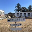 운공의 밤 | 홍천 분위기 좋은 카페 운공의낮 후기!