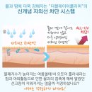 올 어라운드 이미지