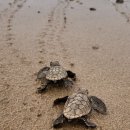 (주)레포스 이미지