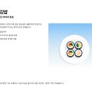 교리소문난국밥&뼈해해장국 | 경주 맛집 베스트 10, 후회 없는 선택을 위한 현지인 추천 리스트