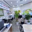 원스타부동산중개 이미지