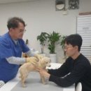 하수의과병원 이미지