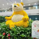 빛(꽃)의정원 이미지