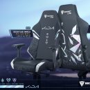 이쁘당개 이미지