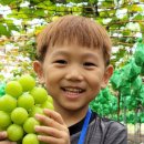 김진성농장 이미지