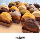 모데라트 이미지