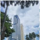 한마음세무회계 - 강남구 봉은사로34길 7 | 한마음세무회계