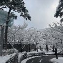 [MBTI] H사 I 팀·지점장 대상 커뮤니케이션 I 김옥심코치