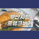 부산시청 프랭크버거 오픈해서 혼밥했어요 (f. 탄생비화)