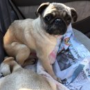 밀양농장 이미지