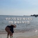 기장 일광해수욕장 갯벌체험 물때표 보는법! 아이와 조개잡이 준비물 꿀팁(학리방파제 기준)