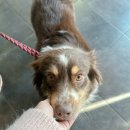 미니주동물병원 이미지