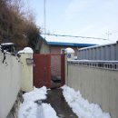 황금기름방 이미지