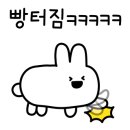 사리화