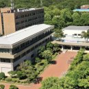 영남대학교 교원 이미지