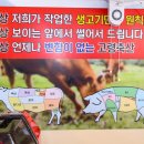 핑크솔트정육점 이미지