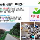 팜올린