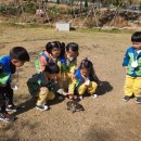 해운대푸른어린이집 이미지