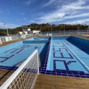 레스트펫 이미지