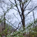 숲속의 웰빙 황토펜션 이미지