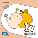 메디칼참사랑온누리약국 | 임신 17주~20주 철분 변비, 임산부 영양제, 20주 정밀초음파 검사, 임산부 PT