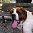 부마클럽 이미지