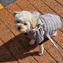 연안부두 신광상회에서 새우젓 사온 주말일상