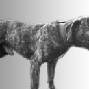 GR kennel 이미지