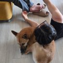 인생네컷오산