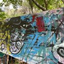 입면초등학교 이미지