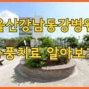 강남동강병원 이미지