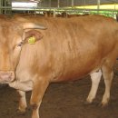 차오름농장 이미지