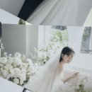 아펠가모 공덕 포토테이블 사진 한국후지필름 인화 후기