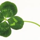 호 계 로 이미지