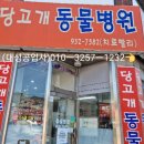 당고개동물병원 이미지