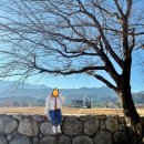 오션비치 휴양콘도미니엄 이미지