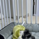 통닭연구소 부천원미점 이미지