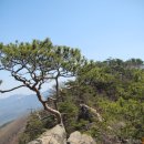 마법의 성 이미지