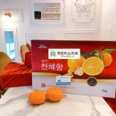 정관장LOUNGE 동탄호수공원본점 | 설 연휴 잘 보내고 계시나요? 남동탄대표치과 착한미소치과입니다