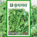 씨앗 - 남양주시 덕소로116번길 11 | 씨앗