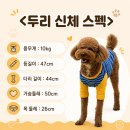 10kg 강아지 방석 추천, 아페토 도넛방석 내돈내산 후기