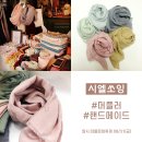시엘쏘잉