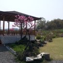 들뫼풍경 이미지